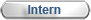 Intern